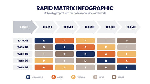 RAPID Matrix Infographics