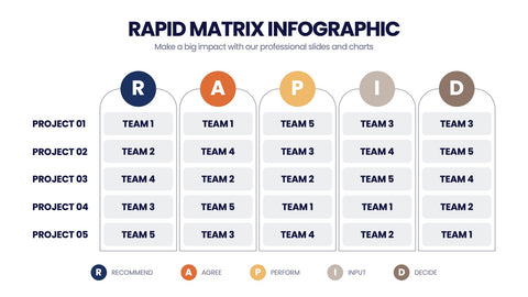 RAPID Matrix Infographics