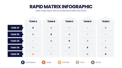RAPID Matrix Infographics