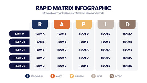 RAPID Matrix Infographics