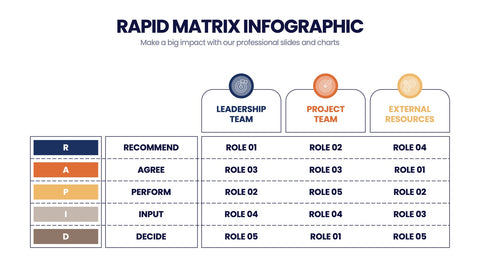 RAPID Matrix Infographics