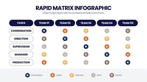 RAPID Matrix Infographics