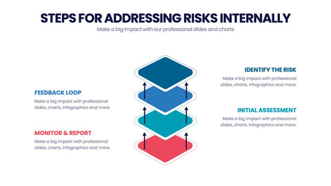 Risk Assessment Infographics