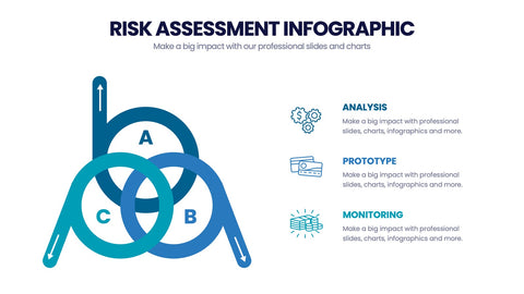 Risk Assessment Infographics