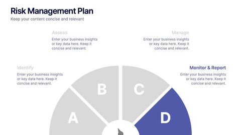 Risk Management Plan Presentation