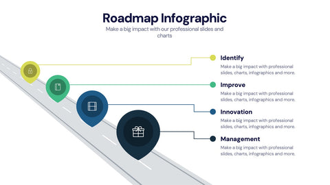 Roadmap Infographics