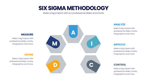 Six Sigma Methodology Infographics