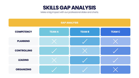 Skills Gap Analysis Infographics