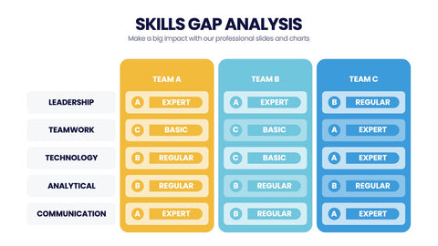Skills Gap Analysis Infographics