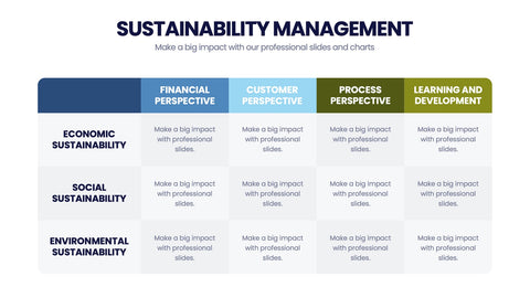 Sustainability Management Infographics