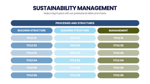 Sustainability Management Infographics