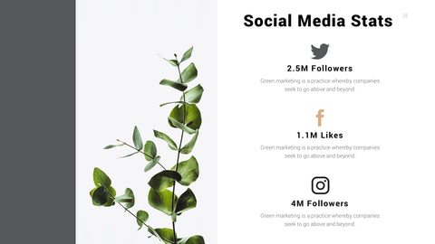 Thorn Minimal Presentation Template