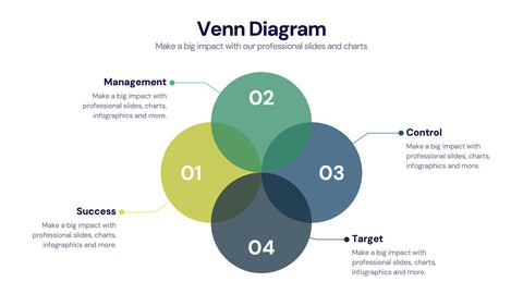 Venn Diagram Infographics