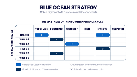 Blue Ocean Strategy