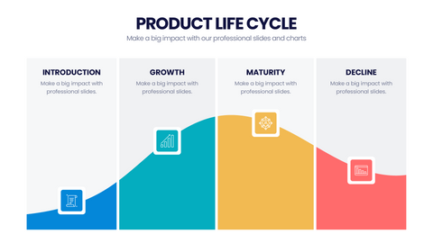 Product Life Cycle