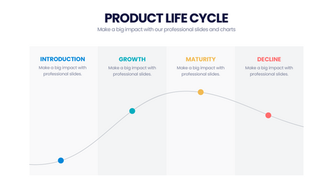 Product Life Cycle