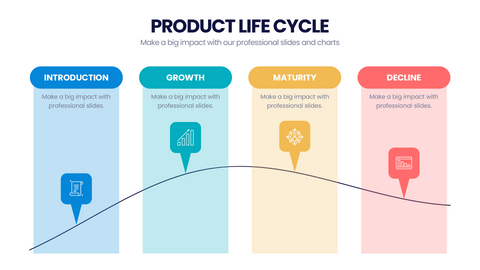Product Life Cycle