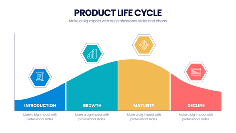 Product Life Cycle