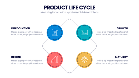 Product Life Cycle