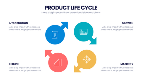 Product Life Cycle