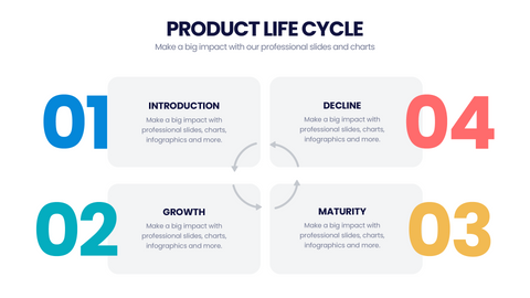 Product Life Cycle