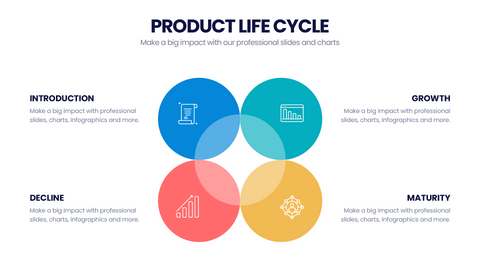 Product Life Cycle