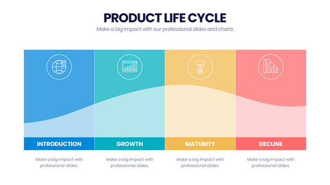 Product Life Cycle