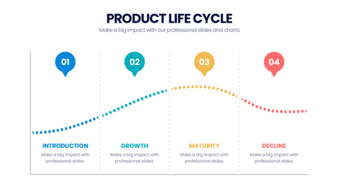 Product Life Cycle