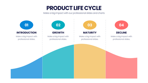 Product Life Cycle