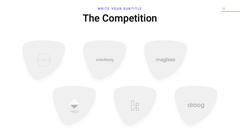 Accelerator Startup Presentation Template
