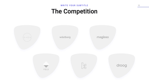 Accelerator Startup Presentation Template