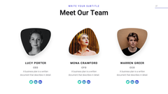 Accelerator Startup Presentation Template