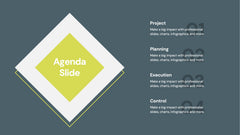 Agenda Infographics slide 19