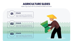 Agriculture Infographics slide 15
