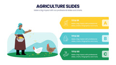 Agriculture Infographics slide 16
