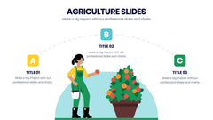 Agriculture Infographics slide 2