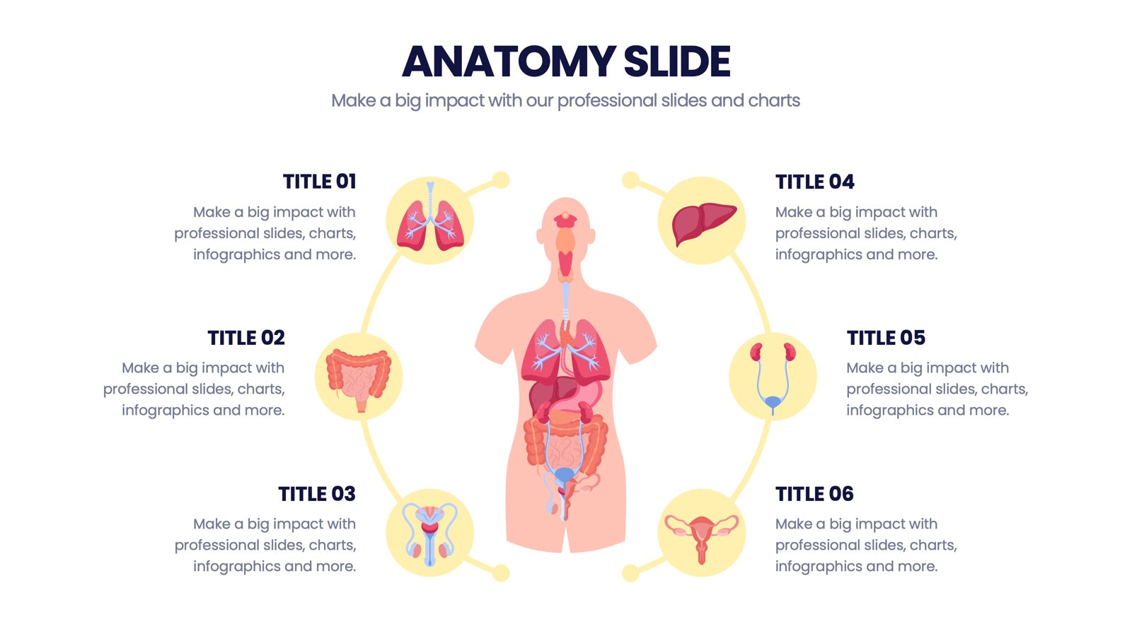 Anatomy Infographics