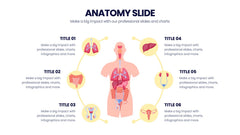 Anatomy Infographics