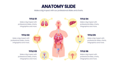 Anatomy Infographics