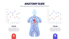 Anatomy Infographics slide 13
