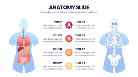 Anatomy Infographics