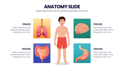Anatomy Infographics