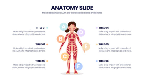 Anatomy Infographics