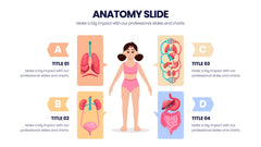 Anatomy Infographics slide 18