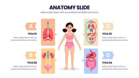 Anatomy Infographics