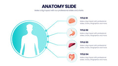 Anatomy Infographics slide 19