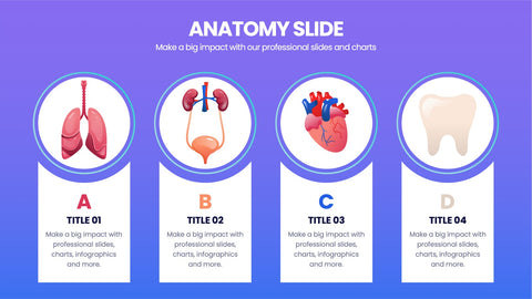 Anatomy Infographics