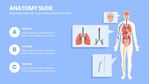 Anatomy Infographics