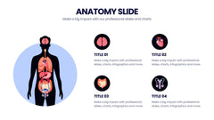 Anatomy Infographics slide 7