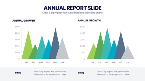 Annual Report Infographics